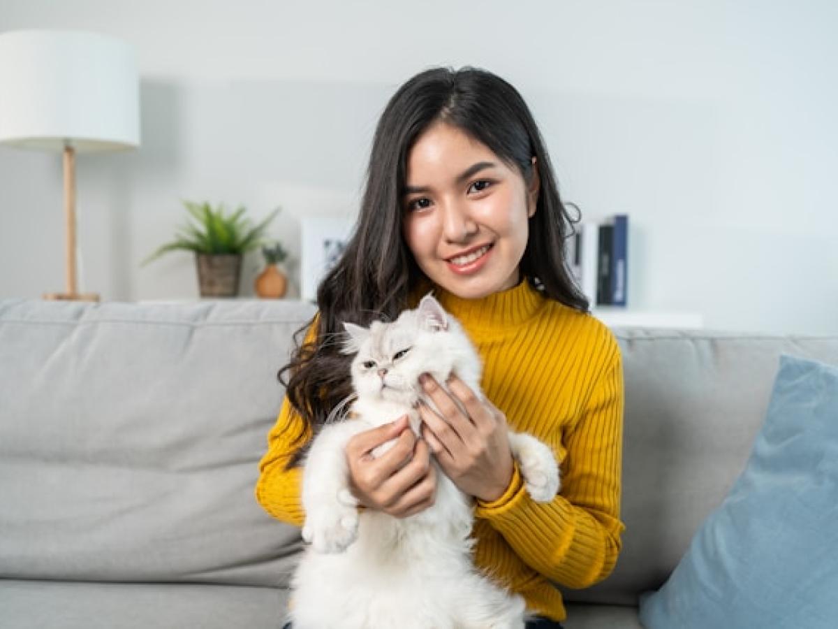 pet